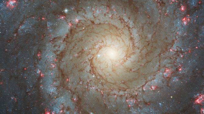 Hubble’s image of NGC 628 shows a densely populated face-on spiral galaxy anchored by its central region, which has a light yellow haze that takes up about a quarter of the view. The core is brightest at the center, washing out light from other objects. Delicate spiral arms start near the center and extend to the edges, rotating counterclockwise. There is more brown dust beginning at the center, but as the arms extend outward, brown dust lanes alternate with diffuse lines of bright blue stars. Throughout the spiral arms, there are bright pink patches of star-forming clusters.